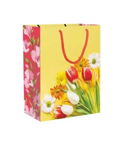 Premium Large Laminated Paper Carry Bags - Custom Full Color Printing